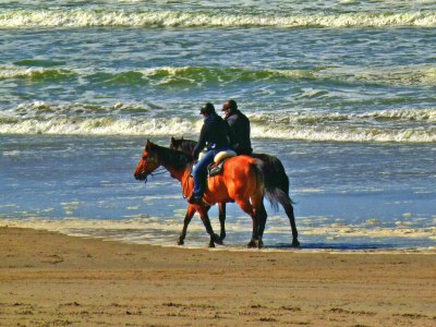 Holiday apartment Amelander Paradijs-67 - Environment photo 19