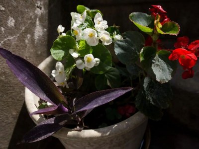 Apartment Double Room with Old town view - Outdoor photo 2