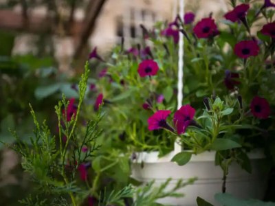 Apartment Double Room with Old town view - Outdoor photo 9