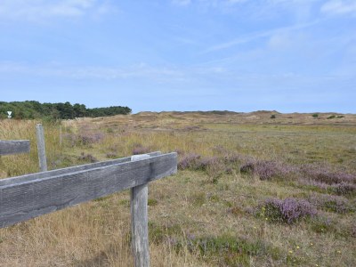 Villa Villa auf Texel nahe Strand und Naturpark - Environment photo 26