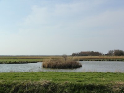 Villa Villa auf Texel nahe Strand und Naturpark - Environment photo 27