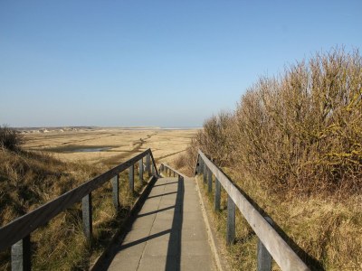 Villa Villa auf Texel nahe Strand und Naturpark - Environment photo 29