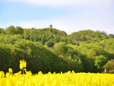 Apartment Ferienwohnungen im Seepark Sellin - Environment photo 15