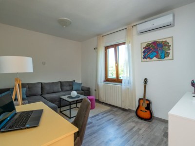 Villa Breg Ivanovci - Three Bedroom Villa with Swimming Pool - Features photo 9