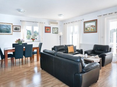 Villa Breg Ivanovci - Three Bedroom Villa with Swimming Pool - Features photo 10