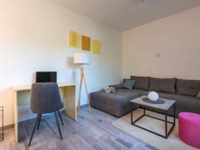 Villa Breg Ivanovci - Three Bedroom Villa with Swimming Pool - Features photo 17