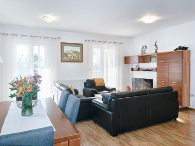 Villa Breg Ivanovci - Three Bedroom Villa with Swimming Pool - Features photo 30