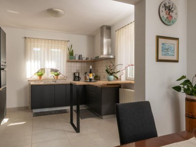 Villa Breg Ivanovci - Three Bedroom Villa with Swimming Pool - Features photo 31