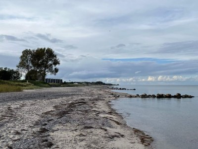 Holiday house 8 Personen Ferienhaus in Otterup - Outdoor photo 14