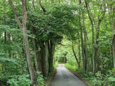 Holiday house 4 Sterne Ferienhaus in Jægerspris - Outdoor photo 8