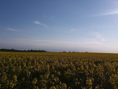 Holiday house 4 Sterne Ferienhaus in Jægerspris - Outdoor photo 10