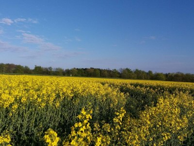 Holiday house 4 Sterne Ferienhaus in Jægerspris - Outdoor photo 12