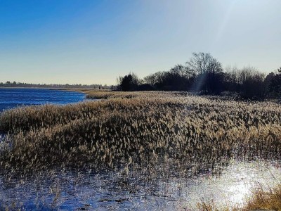 Holiday house 4 Sterne Ferienhaus in Jægerspris - Outdoor photo 13