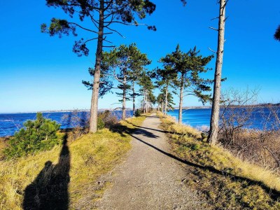 Holiday house 4 Sterne Ferienhaus in Jægerspris - Outdoor photo 14