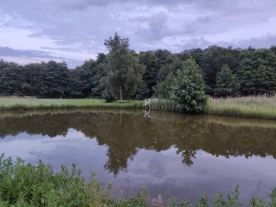 Holiday house 4 Sterne Ferienhaus in Jægerspris - Outdoor photo 15