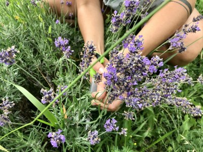 Holiday apartment LOFT 1 - Environment photo 11