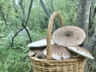 Holiday apartment LOFT 1 - Environment photo 15