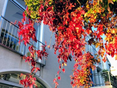 Holiday apartment LOFT 1 - Environment photo 32