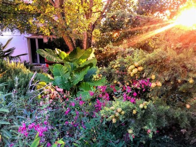 Holiday apartment LOFT 1 - Environment photo 33