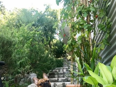 Holiday apartment LOFT 1 - Environment photo 34