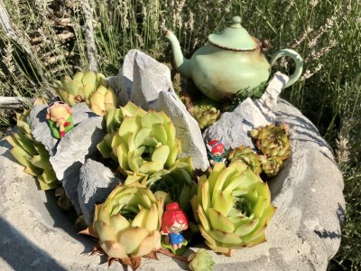 Holiday apartment LOFT 1 - Environment photo 35