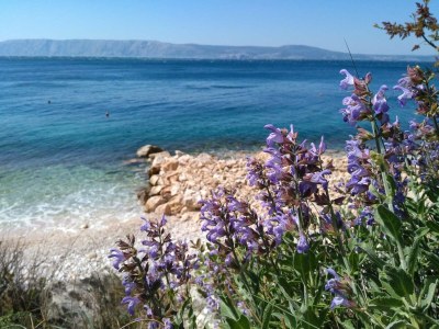 Holiday apartment LOFT 1 - Environment photo 37