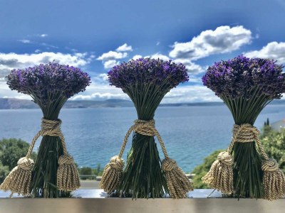 Holiday apartment LOFT 1 - Environment photo 46