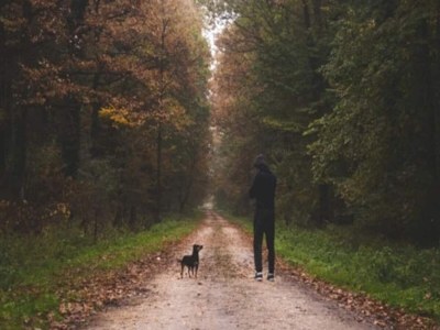 Holiday house 4 Personen Ferienhaus in Hampen - Outdoor photo 19