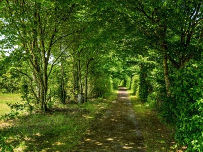 Holiday house 4 Personen Ferienhaus in Hampen - Outdoor photo 4