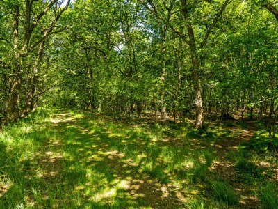 Holiday house 4 Personen Ferienhaus in Hampen - Outdoor photo 5