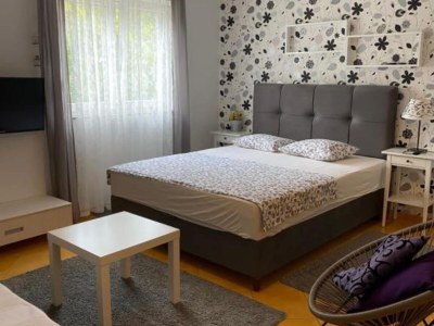 Apartment Apartments Lara Rab - Studio Apartment with Balcony - Features photo 12