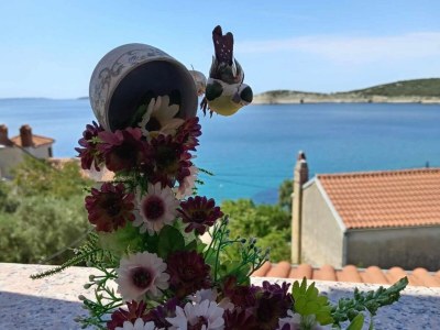 Apartment Apartments Julia - Double Room Julia 2 - Outdoor photo 2