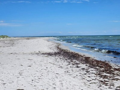 Holiday house 2 Personen Ferienhaus in Nexø - Outdoor photo 33