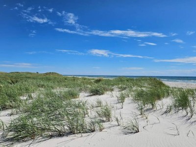 Holiday house 2 Personen Ferienhaus in Nexø - Outdoor photo 36