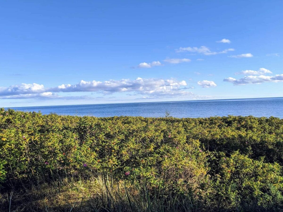 Holiday house 2 Personen Ferienhaus in Nexø - Outdoor photo 3