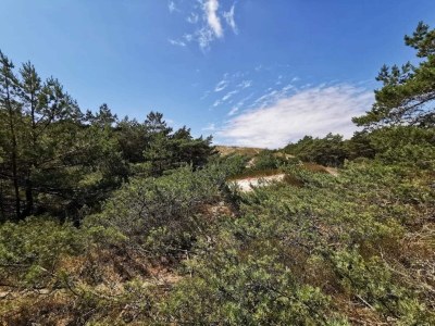 Holiday house 2 Personen Ferienhaus in Nexø - Outdoor photo 6