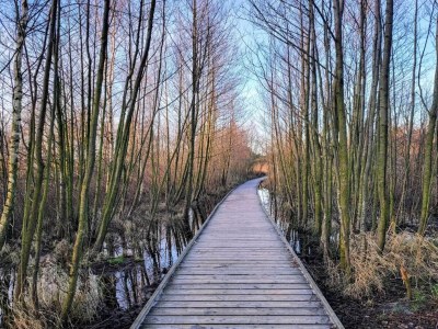Holiday house 2 Personen Ferienhaus in Nexø - Outdoor photo 7