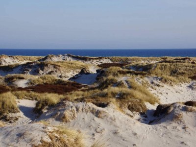 Holiday house 2 Personen Ferienhaus in Nexø - Outdoor photo 9