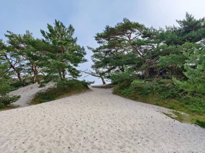 Holiday house 2 Personen Ferienhaus in Nexø - Outdoor photo 10