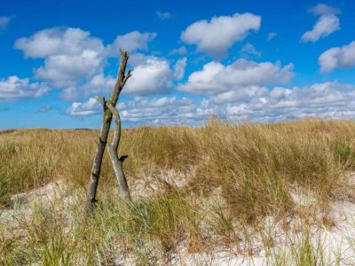 Holiday house 2 Personen Ferienhaus in Nexø - Outdoor photo 14