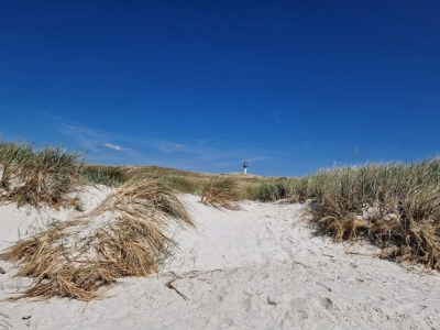 Holiday house 2 Personen Ferienhaus in Nexø - Outdoor photo 15