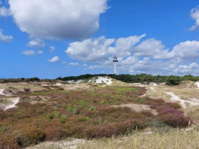 Holiday house 2 Personen Ferienhaus in Nexø - Outdoor photo 16