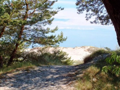 Holiday house 2 Personen Ferienhaus in Nexø - Outdoor photo 28