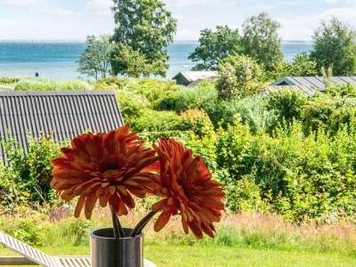 Holiday house 5 person holiday home in Haderslev - Outdoor photo 24