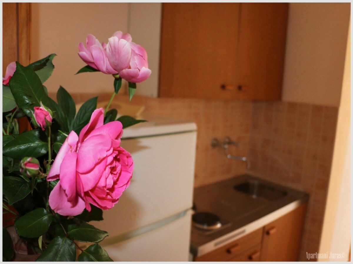 Apartment Apartments Juras - Studio Apartment with Sea View (Mia) - Features photo 3