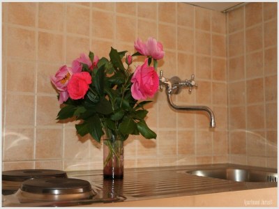 Apartment Apartments Juras - Studio Apartment with Sea View (Mia) - Features photo 4