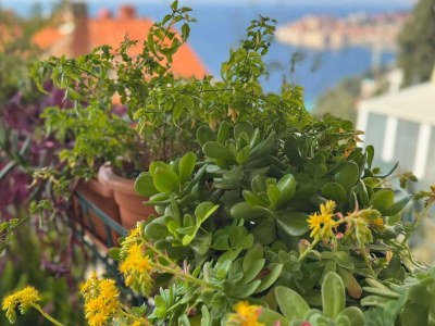 Apartment Charming Apartment with Terrace and Old Town View - One Bedroom Apartment with Terrace - Outdoor photo 8