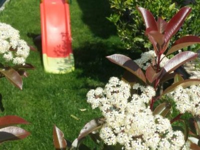 Villa Villa Marica - Five bedroom Villa with Private Pool - Outdoor photo 4