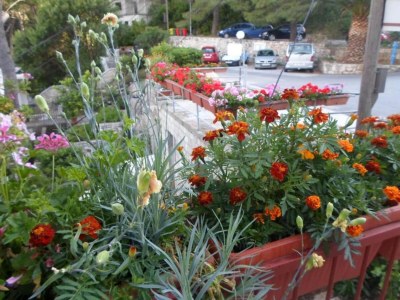 Apartment Guest House Sobra 38 - Double Room with Balcony and External Bathroom 5 - Outdoor photo 4