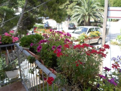 Apartment Guest House Sobra 38 - Double Room with Balcony and External Bathroom 5 - Outdoor photo 13